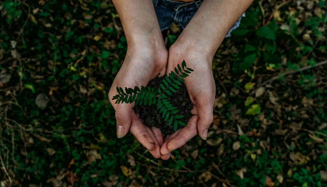 Keep Your Eco-Kicks Fresh: Simple Shoe Care Tips for Recycled Materials