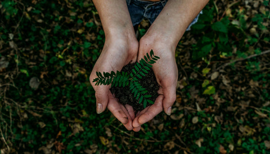 Keep Your Eco-Kicks Fresh: Simple Shoe Care Tips for Recycled Materials